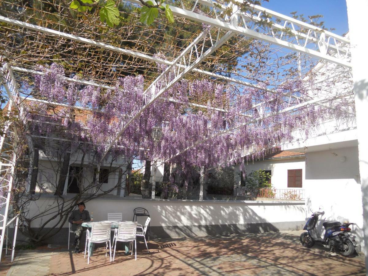 Apartments Gaj Brodarica  Zewnętrze zdjęcie