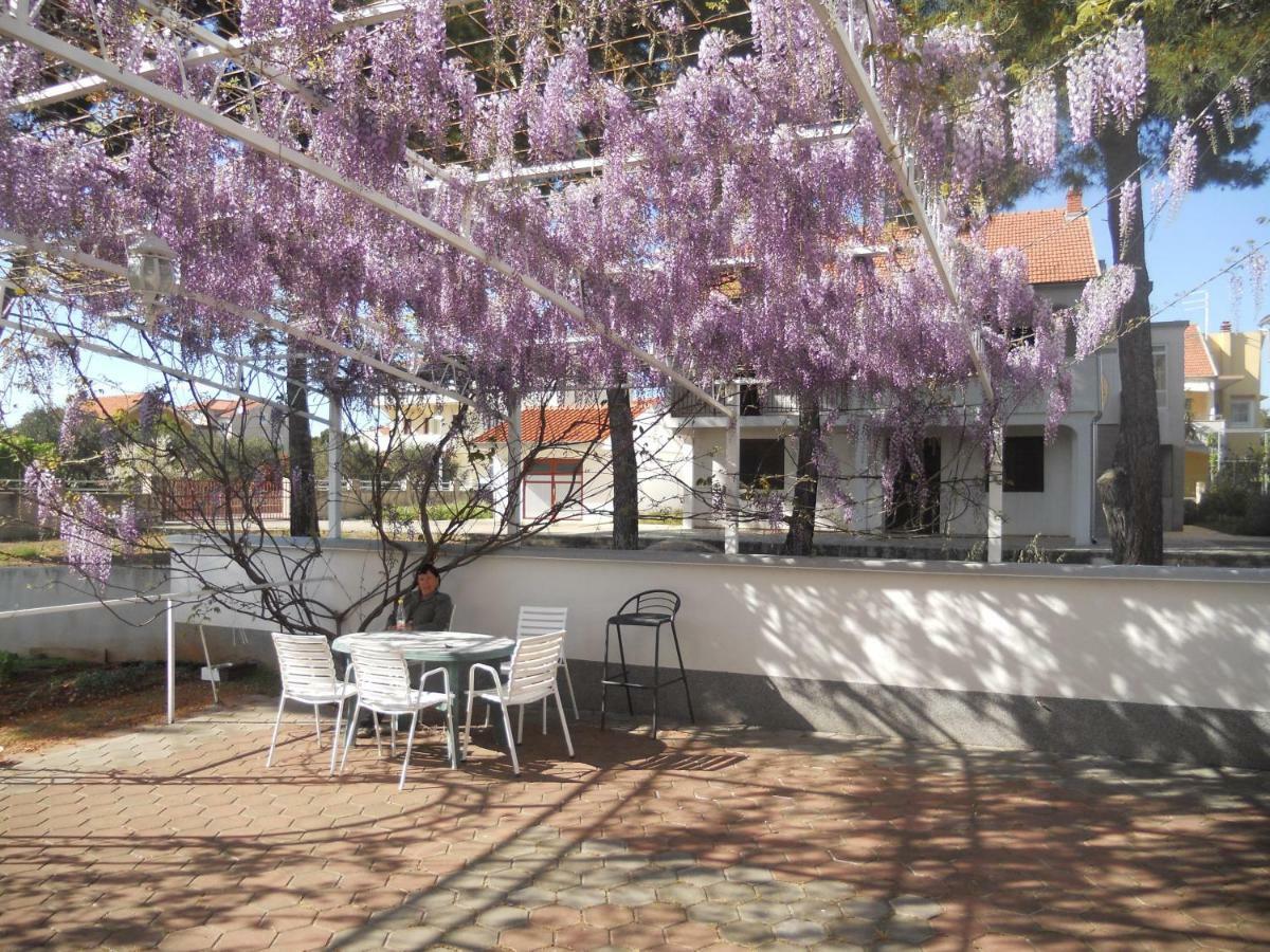 Apartments Gaj Brodarica  Zewnętrze zdjęcie